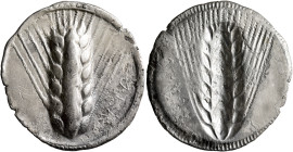 LUCANIA. Metapontion. Circa 540-510 BC. Didrachm or Nomos (Silver, 30 mm, 6.95 g). META Barley ear. Rev. Incuse barley ear. HN Italy 1480. Noe 83. Rou...