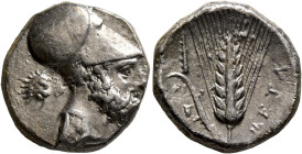 LUCANIA. Metapontion. Circa 340-330 BC. Didrachm or Nomos (Silver, 20 mm, 7.78 g, 12 h). Bearded head of Leukippos to right, wearing Corinthian helmet...