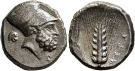 LUCANIA. Metapontion. Circa 340-330 BC. Didrachm or Nomos (Silver, 20 mm, 7.60 g, 12 h), Ami..., magistrate. Bearded head of Leukippos to right, weari...