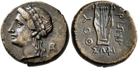 LUCANIA. Thourioi. Circa 280-213 BC. AE (Bronze, 16 mm, 3.49 g, 4 h), struck under the magistrate Sophi... Laureate head of Apollo to left; behind, mo...