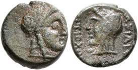 KINGS OF COMMAGENE. Antiochos III, circa 12 BC-AD 17. Hemichalkon (Bronze, 11 mm, 1.37 g, 12 h), Mopsos. Laureate head of Apollo to right. Rev. [Β]ΑΣΙ...