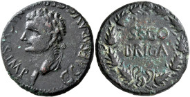 SPAIN. Segobriga. Gaius (Caligula), 37-41. As (Bronze, 29 mm, 13.34 g, 2 h). C CAESAR AVG GERMANICVS IMP Laureate head of Gaius to left. Rev. SEGO/BRI...