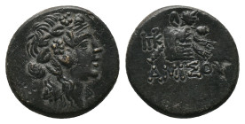 PONTOS. Amisos. Time of Mithradates VI Eupator, (85-65 BC). AE Bronze Obv: Head of young Dionysos to right, wearing ivy wreath. Rev. ΑΜΙΣΟΥ Panther sk...