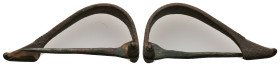 Collectable Items - Fibula
6.73 GR 48.81 MM