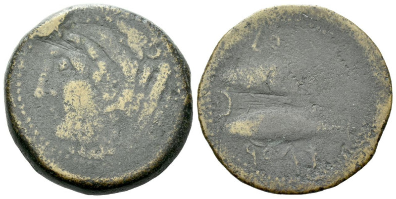 Hispania, Gades Unit II-I century BC, Æ 28.00 mm., 15.95 g.

Good Fine