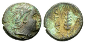 Lucania, Metapontum Bronze III century BC - Ex Naville Numismatics sale 48, 2019, 13 (part of). From the E.E. Clain-Stefanelli collection.
