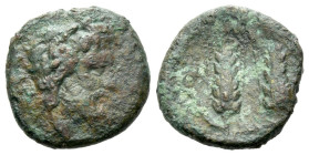 Lucania, Metapontum Bronze III century BC - Ex Naville Numismatics sale 48, 2019, 13 (part of). From the E.E. Clain-Stefanelli collection. Sold with o...