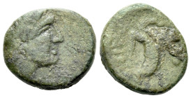 Lucania, Paestum Quadrans circa 218-201 - Ex Naville Numismatics sale 53, 2019, 23. From the E.E. Clain-Stefanelli collection.
