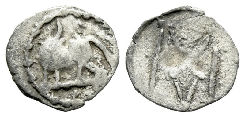 Lucania, Sybaris Obol circa 550-510, AR 10.00 mm., 0.29 g.

About VF