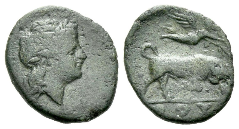 Lucania, Thurium Bronze early III century, Æ 12.00 mm., 0.92 g.

Very rare. Ab...