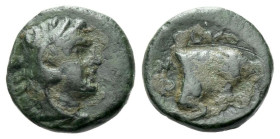Lucania, Thurium Bronze circa 280-213 - Ex Naville Numismatics sale 53, 2019, 24. From the E.E. Clain Stefanelli collection.