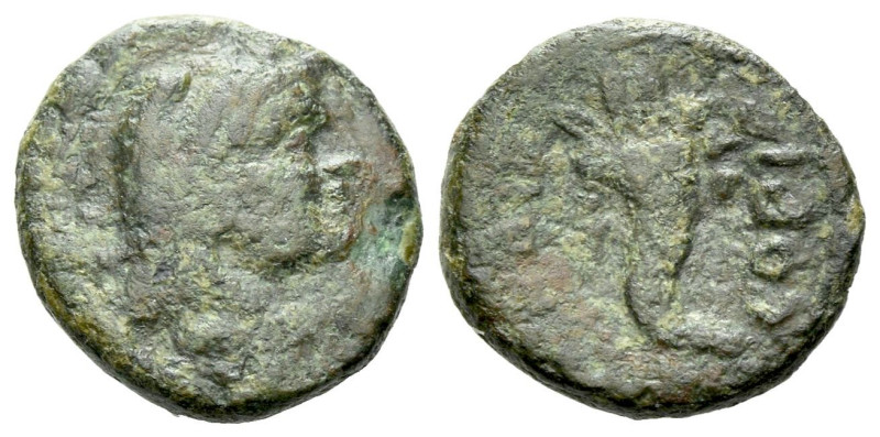 Lucania, Thurium as Copia Quadrans circa 193-150, Æ 15.00 mm., 1.86 g.

Green ...