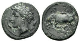 Sicily, Syracuse Bronze circa 289-287 - Ex Naville Numismatics sale 56, 2020, 80. From the E.E. Clain-Stefanelli collection. Sold with original collec...