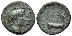 Ionia, Ephesus Agrippina II with Claudius Bronze circa 41-53 - Ex Naville Numismatics sale 23, 2016, 189. From the E.E. Clain-Stefanelli collection.