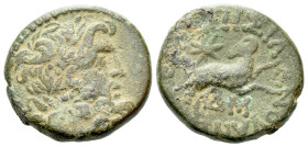 Seleucis ad Pieria, Antiochia Pseudo-autonomous issue Bronze I century AD