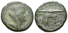 Seleucis ad Pieria, Seleucia Pseudo-autonomous issue Bronze II century AD