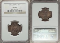 Italian Colony. Umberto I Lira 1891-R MS63 NGC, Rome mint, KM2. Crowned head right / Denomination. Gold and olive toning. From A Special Selection of ...