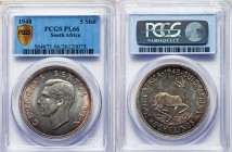 George VI 5 Shillings 1948 MS66 PCGS, KM40.1. Head left / Springbok. From A Special Selection of World Coins

HID09801242017