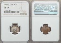 Elizabeth II 3 Pence 1960 MS67 NGC, KM47. Laureate head right / Protea flower in center of designed bars shaped as a triangle. From A Special Selectio...