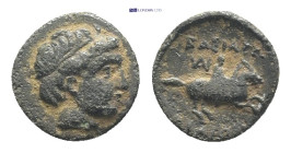 Kings of Macedon, Alexander III (336-323) AE (10mm, 1.0 g) Miletos, ca 323-319 BC; Obv: Diademed head of Apollo r., dotted border, Rev: BAΣIΛEΩΣ, warr...