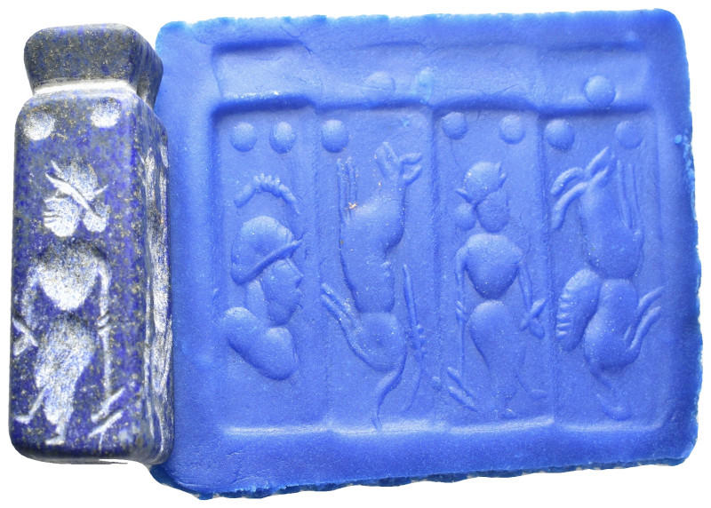 Cylinder Seal. (47mm, 29.9 g)