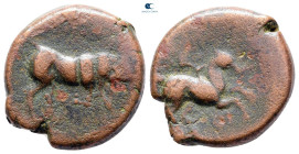 Apulia. Arpi circa 275-250 BC. Bronze Æ