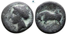 Sicily. Syracuse. Hieron II 275-215 BC. Bronze Æ
