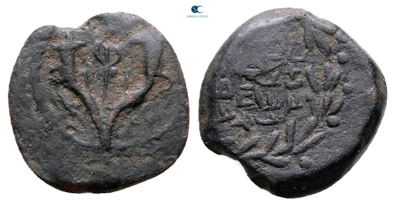 Judaea. Jerusalem. John Hyrcanus I 135-104 BC. 
Prutah Æ

13 mm, 1,44 g


...