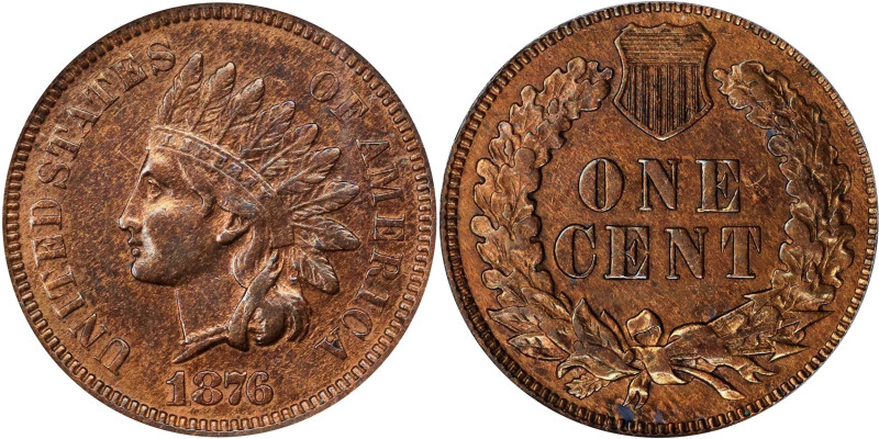 1876 Indian Cent. EF-45 Details--Cleaned (ANACS).
PCGS# 2124. NGC ID: 2283.