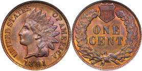 1891 Indian Cent. MS-64 RB (PCGS). Eagle Eye Photo Seal.
PCGS# 2179. NGC ID: 228K.