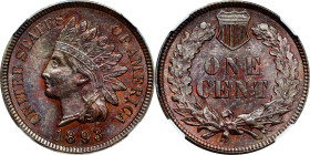 1893 Indian Cent. Unc Details--Altered Color (NGC).
PCGS# 2184. NGC ID: 228M.