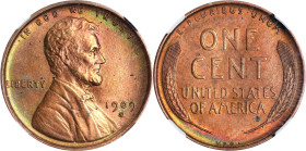 1909-S Lincoln Cent. V.D.B. AU Details--Cleaned (NGC).
PCGS# 2426. NGC ID: 22B2.