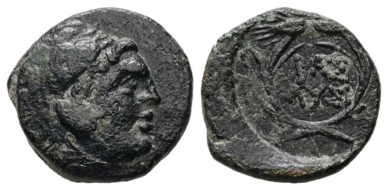 Kings of Thrace (Macedonian). Lysimachos. Ae. 2.03 g. 14.59 mm. 305-281 BC.
Obv:...