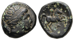 Kings of Macedon, Philip II. Ae,5.82 g 16.99 mm. 359-336 BC. Uncertain mint.
Obv: Diademed head of Apollo right.
Rev: ΦIΛIΠΠOY,Horseman right. Uncerta...