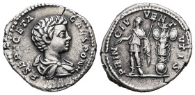 Geta as Caesar, AD 198-209. AR, Denarius. 3.06 g. 19.37 mm. Rome.
Obv: P SEPT GETA CAES PONT. Bust of Geta, bare-headed, draped, right.
Rev: PRINC IVV...