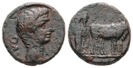 Macedon, Philippi. Augustus, 27 BC-AD 14. AE. 4.36 g. 16.68 mm.
Obv: [AVG]. Bare head of Augustus, right.
Rev: Two founders driving yoke of oxen right...