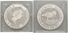 Australia - 1 Dollaro Kookaburra 1993 ( 1 Oz. Ag .999) - in confezione di Zecca - KM#209

FS

SPEDIZIONE IN TUTTO IL MONDO - WORLDWIDE SHIPPING
