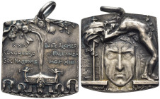 Regno d'Italia - Medaglia Società Nazionale Dante Alighieri, XXIV° Congresso - Pallanza, 1913 - Opus: De Bernardi, Tedeschi - Ag 950 - Ø 31x31 mm; 17,...