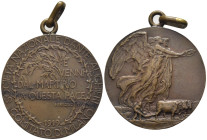 Medaglia Società Nazionale Dante Alighieri, Comitato di Milano - 1919 - AE - Opus: Johnson - Ø 30,69 mm; 11,73 g

SPEDIZIONE SOLO IN ITALIA - SHIPPI...