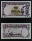 Nuova Zelanda - banconota 1 Pound ND (1940-1967) - P#159c

c EF

SPEDIZIONE SOLO IN ITALIA - SHIPPING ONLY IN ITALY