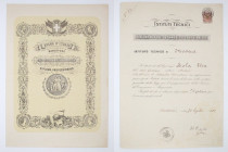 Regno d'Italia - diploma professionale con marca da bollo 2 lire - Modena 31/07/1922

SPEDIZIONE SOLO IN ITALIA - SHIPPING ONLY IN ITALY