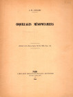 AYNARD J. M. - Coquillage mesopotamiens. Paris, 1966. pp 21-35, illustrazioni nel testo. brossura ed. buono stato.