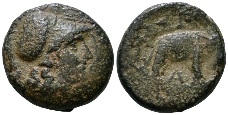 Seleukid Kings of Syria, Seleukos I Nikator, 312-281 BC. AE 18mm, 7,48g *Repatin...