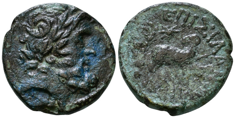 Syria, seleucis and Pieria. Antioch. Pseudo-autonomous issue, time of Augustus, ...