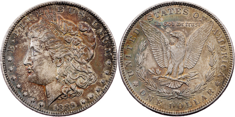 USA, Morgan Dollar 1889, Philadelphia USA, Federal republic, Morgan Dollar 1889,...