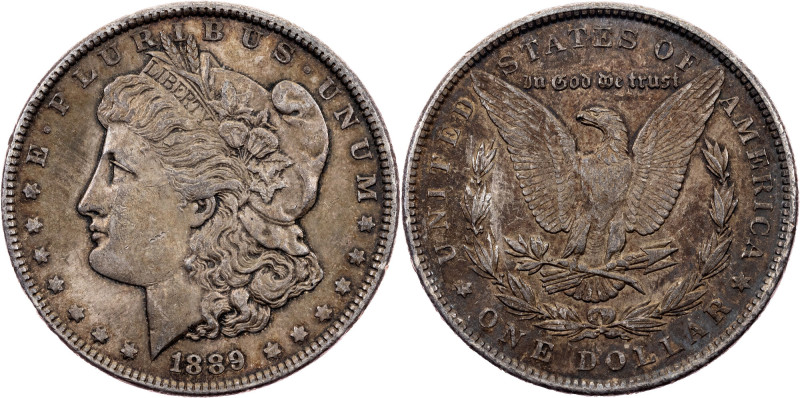 USA, Morgan Dollar 1889, Philadelphia USA, Federal republic, Morgan Dollar 1889,...