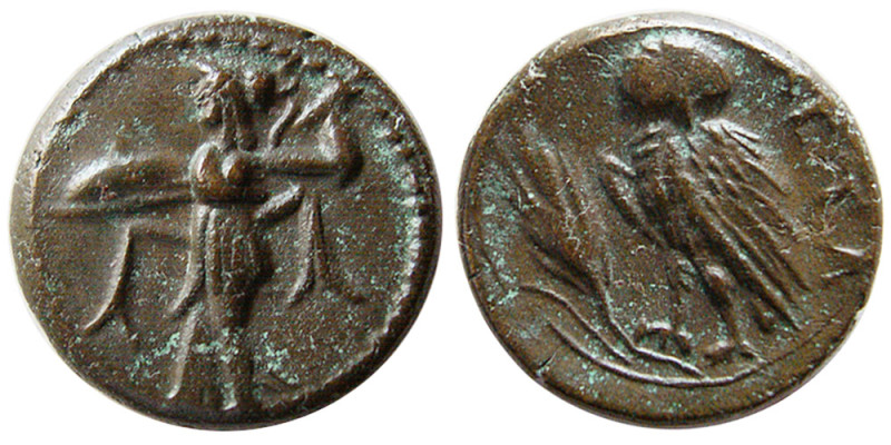 LUCANIA, Metapontion. Ca. 300-250 BC. Æ (3.10 gm; 14 mm). Athena Alkidemos advan...