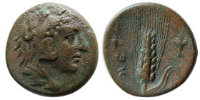 LUCANIA, Metapontion. Ca. 300-250 BC. Æ.