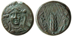 LUCANIA, Metapontion. Ca. 300-250 BC. Æ.