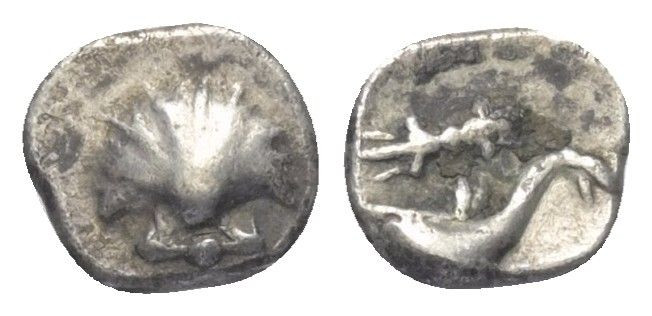 Kalabrien. Tarent.

 1/20 Stater (Silber). Ca. 325 - 280 v. Chr.
Vs: Muschel....
